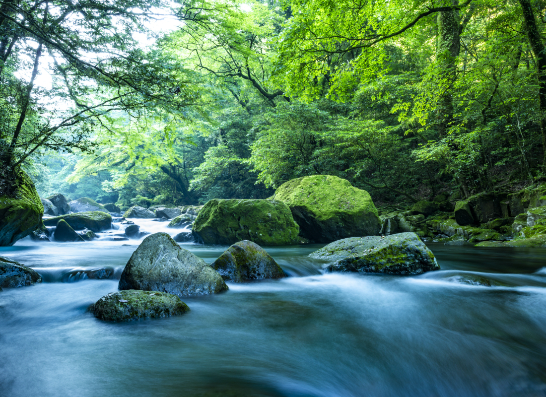 写真:伝統だけじゃない